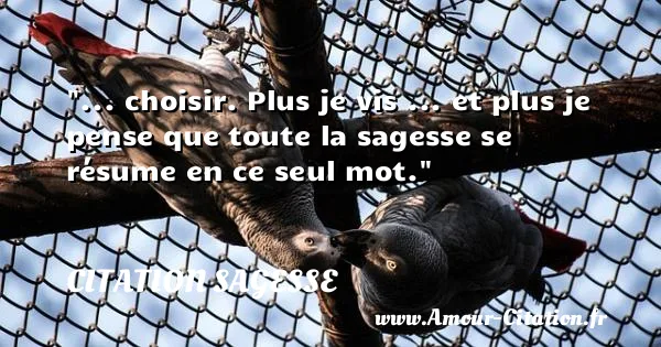 ... choisir. Plus je vis ... et plus je pense que toute la sagesse se résume en ce seul mot.  CITATION SAGESSE
