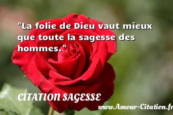 La folie de Dieu vaut mieux que toute la sagesse des hommes.  CITATION SAGESSE