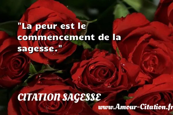 La peur est le commencement de la sagesse. CITATION SAGESSE