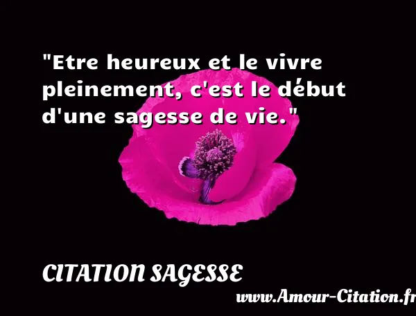 Etre heureux et le vivre pleinement, c est le début d une sagesse de vie. CITATION SAGESSE