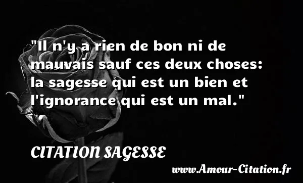Il n y a rien de bon ni de mauvais sauf ces deux choses: la sagesse qui est un bien et l ignorance qui est un mal.  CITATION SAGESSE