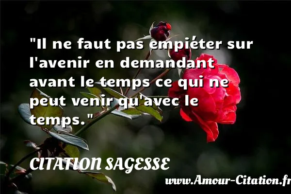 Il ne faut pas empiéter sur l avenir en demandant avant le temps ce qui ne peut venir qu avec le temps.  CITATION SAGESSE