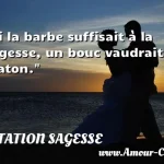  Si la barbe suffisait à la sagesse, un bouc vaudrait Platon.  CITATION SAGESSE