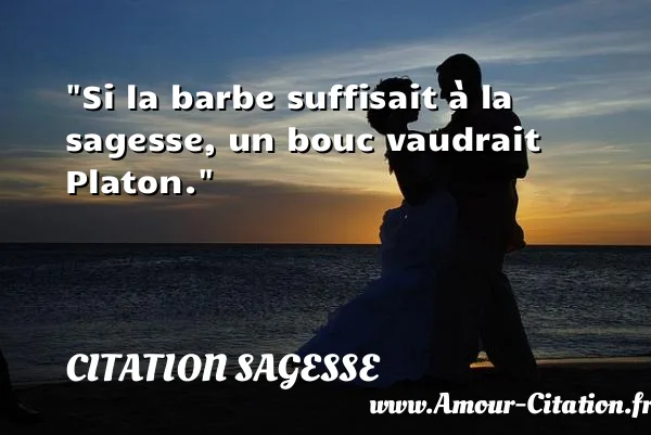 Si la barbe suffisait à la sagesse, un bouc vaudrait Platon. CITATION SAGESSE