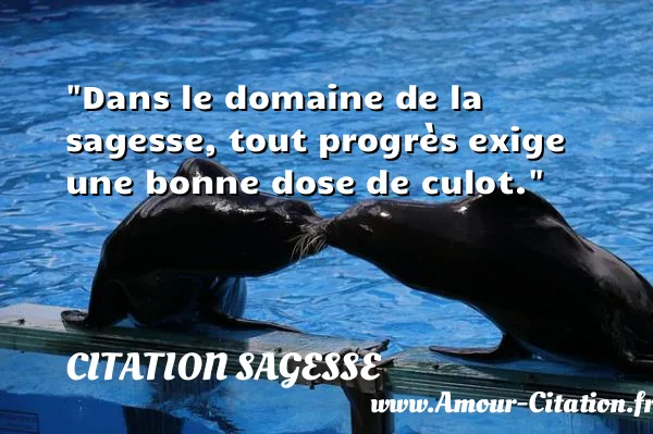 Dans le domaine de la sagesse, tout progrès exige une bonne dose de culot.  CITATION SAGESSE