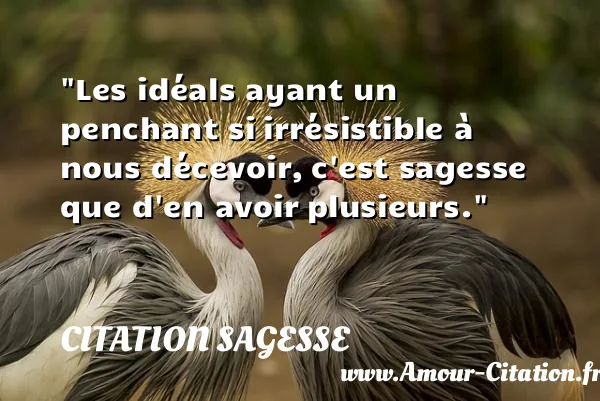 Les idéals ayant un penchant si irrésistible à nous décevoir, c est sagesse que d en avoir plusieurs.  CITATION SAGESSE