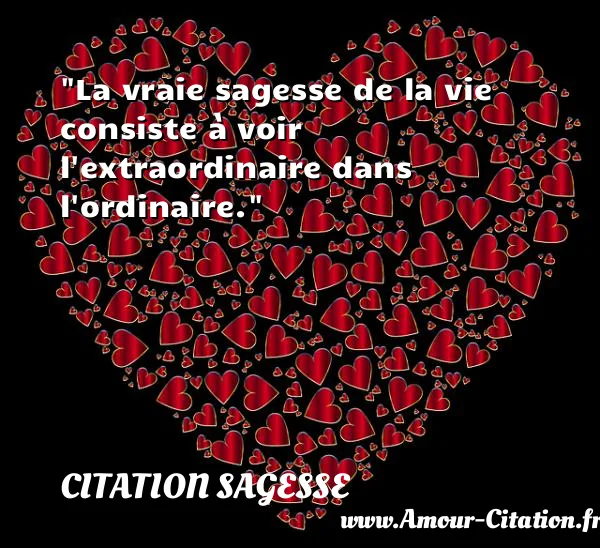 La vraie sagesse de la vie consiste à voir l extraordinaire dans l ordinaire.  CITATION SAGESSE