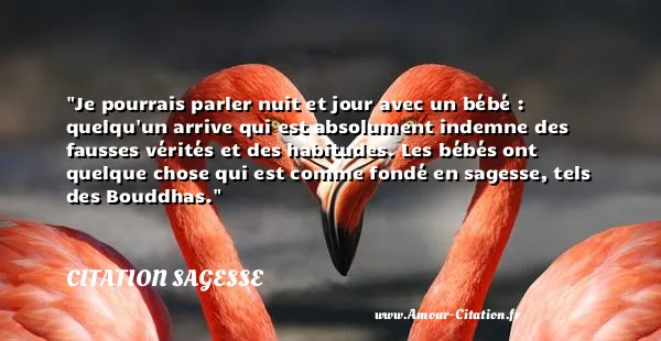 Je pourrais parler nuit et jour avec un bébé : quelqu un arrive qui est absolument indemne des fausses vérités et des habitudes. Les bébés ont quelque chose qui est comme fondé en sagesse, tels des Bouddhas.  CITATION SAGESSE