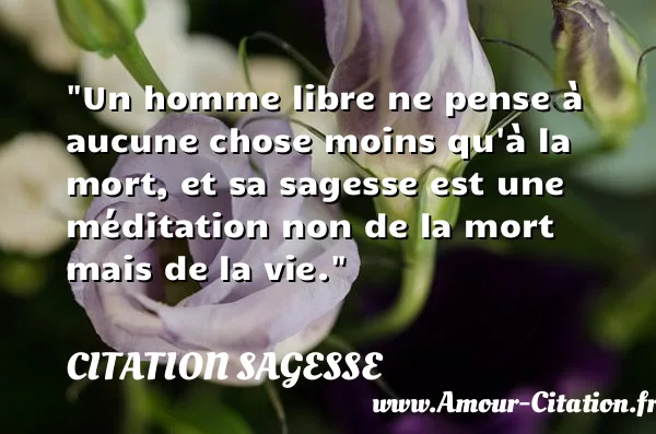 Un homme libre ne pense à aucune chose moins qu à la mort, et sa sagesse est une méditation non de la mort mais de la vie.  CITATION SAGESSE