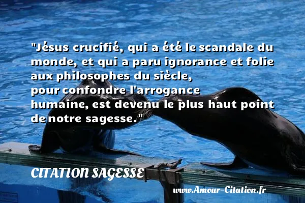 Jésus crucifié, qui a été le scandale du monde, et qui a paru ignorance et folie aux philosophes du siècle, pour confondre l arrogance humaine, est devenu le plus haut point de notre sagesse.  CITATION SAGESSE