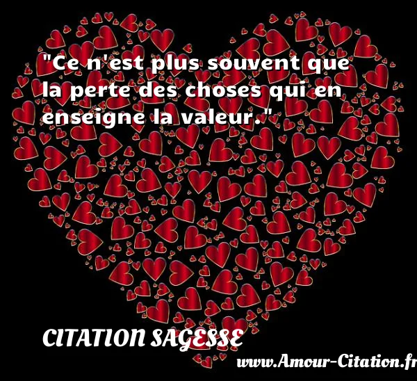 Ce n est plus souvent que la perte des choses qui en enseigne la valeur.  CITATION SAGESSE