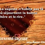  La sagesse n habite pas là où séjournent la bonne chère et le rire.  CITATION SAGESSE