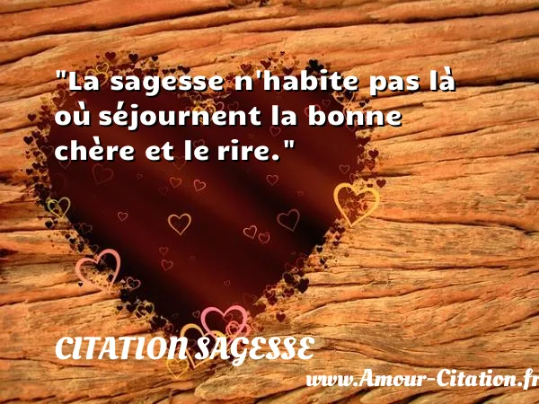 La sagesse n habite pas là où séjournent la bonne chère et le rire.  CITATION SAGESSE