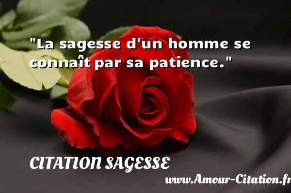 La sagesse d un homme se connaît par sa patience.  CITATION SAGESSE
