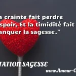  La crainte fait perdre l espoir, Et la timidité fait manquer la sagesse.  CITATION SAGESSE