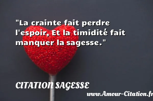 La crainte fait perdre l espoir, Et la timidité fait manquer la sagesse.  CITATION SAGESSE