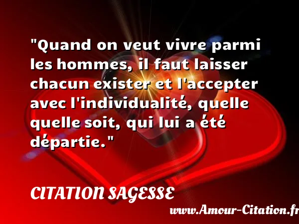 Quand on veut vivre parmi les hommes, il faut laisser chacun exister et l accepter avec l individualité, quelle quelle soit, qui lui a été départie.  CITATION SAGESSE