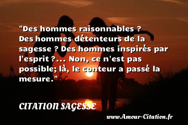 Des hommes raisonnables ? Des hommes détenteurs de la sagesse ? Des hommes inspirés par l esprit ?... Non, ce n est pas possible; là, le conteur a passé la mesure.  CITATION SAGESSE