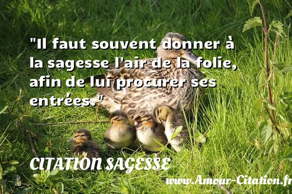 Il faut souvent donner à la sagesse l air de la folie, afin de lui procurer ses entrées.  CITATION SAGESSE