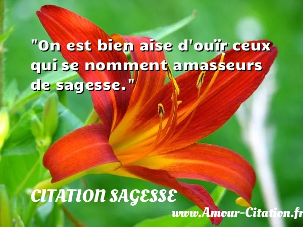 On est bien aise d ouïr ceux qui se nomment amasseurs de sagesse. CITATION SAGESSE