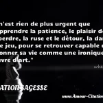  Il n est rien de plus urgent que d apprendre la patience, le plaisir de se perdre, la ruse et le détour, la danse et le jeu, pour se retrouver capable de façonner sa vie comme une ironique oeuvre d art.  CITATION SAGESSE