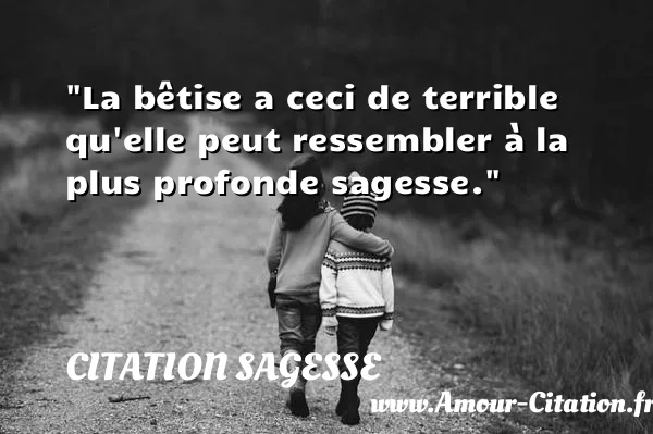 La bêtise a ceci de terrible qu elle peut ressembler à la plus profonde sagesse.  CITATION SAGESSE