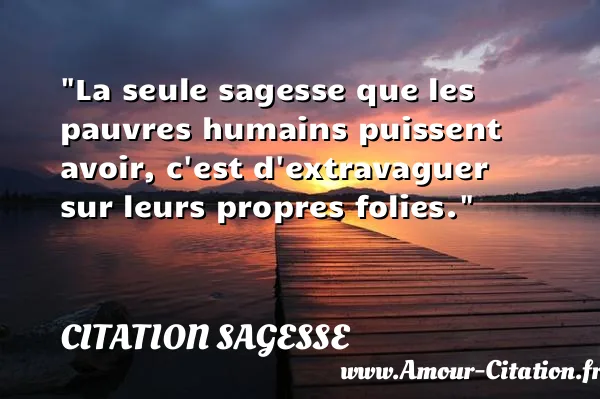 La seule sagesse que les pauvres humains puissent avoir, c est d extravaguer sur leurs propres folies.  CITATION SAGESSE