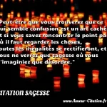  Peut-être que vous trouverez que ce qui semble confusion est un art caché, et si vous savez rencontrer le point par où il faut regarder les choses, toutes les inégalités se rectifieront, et vous ne verrez que sagesse où vous n imaginiez que désordre.  CITATION SAGESSE