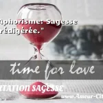  Aphorisme: Sagesse prédigérée.  CITATION SAGESSE