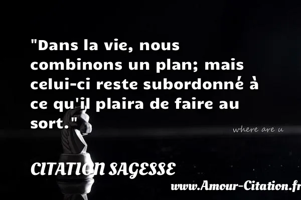 Dans la vie, nous combinons un plan; mais celui-ci reste subordonné à ce qu il plaira de faire au sort.  CITATION SAGESSE