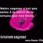  Notre sagesse n est pas moins à la merci de la fortune que nos biens.  CITATION SAGESSE
