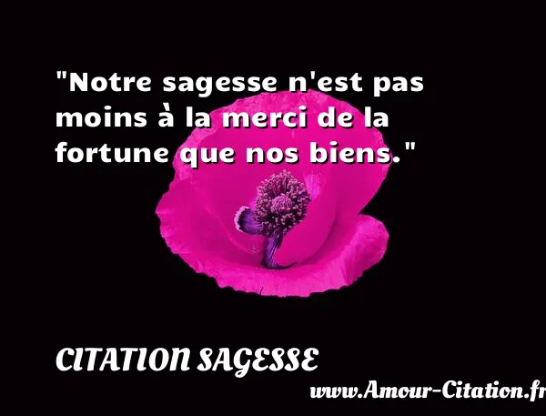 Notre sagesse n est pas moins à la merci de la fortune que nos biens.  CITATION SAGESSE