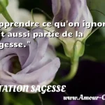  Apprendre ce qu on ignore, fait aussi partie de la sagesse.  CITATION SAGESSE