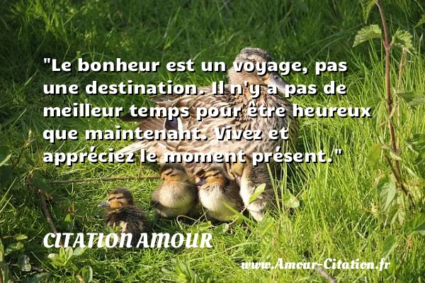 Le bonheur est un voyage, pas une destination. Il n y a pas de meilleur temps pour être heureux que maintenant. Vivez et appréciez le moment présent. CITATION AMOUR