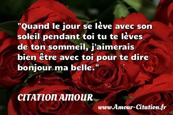 Quand le jour se lève avec son soleil pendant toi tu te lèves de ton sommeil, j aimerais bien être avec toi pour te dire bonjour ma belle.  CITATION AMOUR