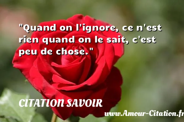 Quand on l ignore, ce n est rien quand on le sait, c est peu de chose.  CITATION SAVOIR