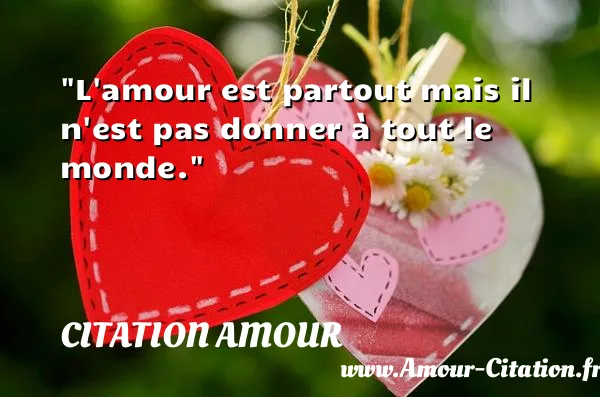 L amour est partout mais il n est pas donner à tout le monde.  CITATION AMOUR