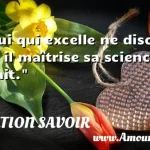  Celui qui excelle ne discute pas, il maîtrise sa science et se tait.  CITATION SAVOIR