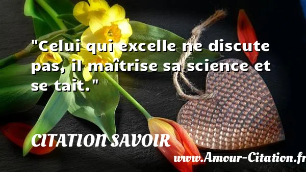 Celui qui excelle ne discute pas, il maîtrise sa science et se tait. CITATION SAVOIR