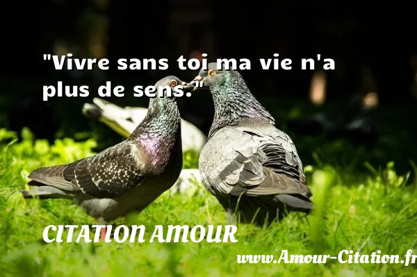 Vivre sans toi ma vie n a plus de sens.  CITATION AMOUR