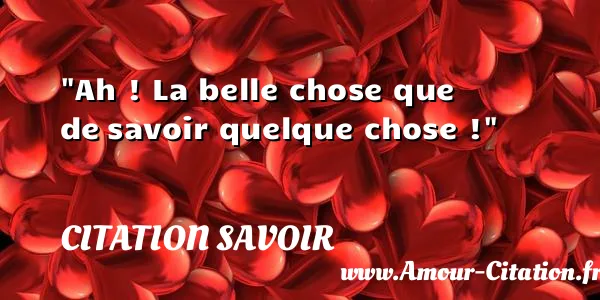 Ah ! La belle chose que de savoir quelque chose ! CITATION SAVOIR