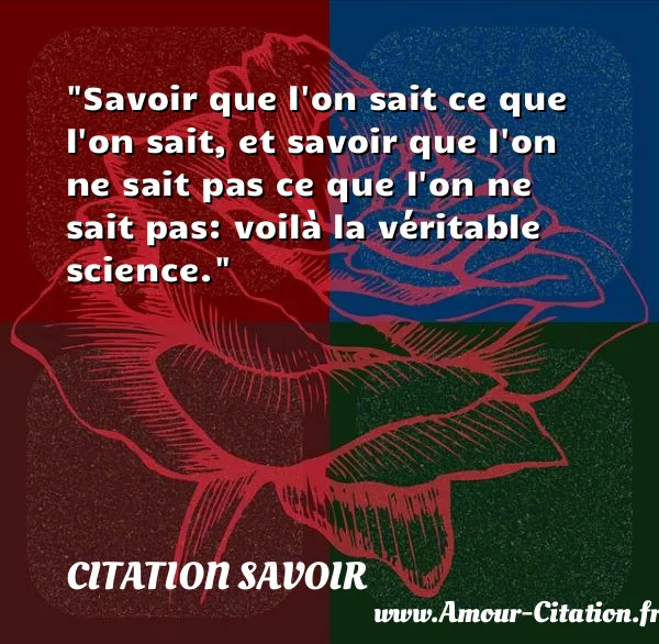 Savoir que l on sait ce que l on sait, et savoir que l on ne sait pas ce que l on ne sait pas: voilà la véritable science. CITATION SAVOIR