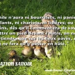  Emile n aura ni bourrelets, ni paniers roulants, ni chariots, ni lisières; ou du moins, dès qu il commencera de savoir mettre un pied devant l autre, on ne le soutiendra que sur les lieux pavés, et l on ne fera qu y passer en hâte.  CITATION SAVOIR