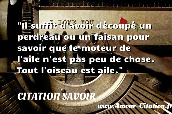 Il suffit d avoir découpé un perdreau ou un faisan pour savoir que le moteur de l aile n est pas peu de chose. Tout l oiseau est aile. CITATION SAVOIR