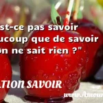  N est-ce pas savoir beaucoup que de savoir qu on ne sait rien ?  CITATION SAVOIR