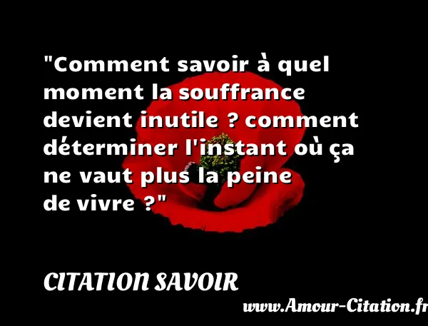 Comment savoir à quel moment la souffrance devient inutile ? comment déterminer l instant où ça ne vaut plus la peine de vivre ?  CITATION SAVOIR