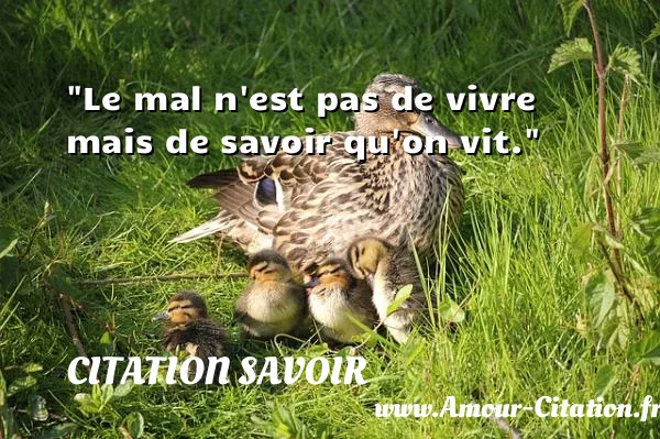 Le mal n est pas de vivre mais de savoir qu on vit. CITATION SAVOIR