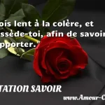  Sois lent à la colère, et possède-toi, afin de savoir supporter.  CITATION SAVOIR