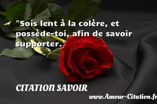 Sois lent à la colère, et possède-toi, afin de savoir supporter.  CITATION SAVOIR