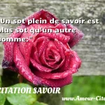 Un sot plein de savoir est plus sot qu un autre homme.  CITATION SAVOIR